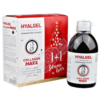 Hyalgel Collagen MAXX vánoční balení 2x500ml